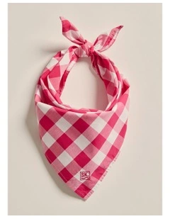 Parachilna Bandana in Pink