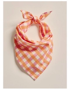 Parachilna Bandana in Pale Pink
