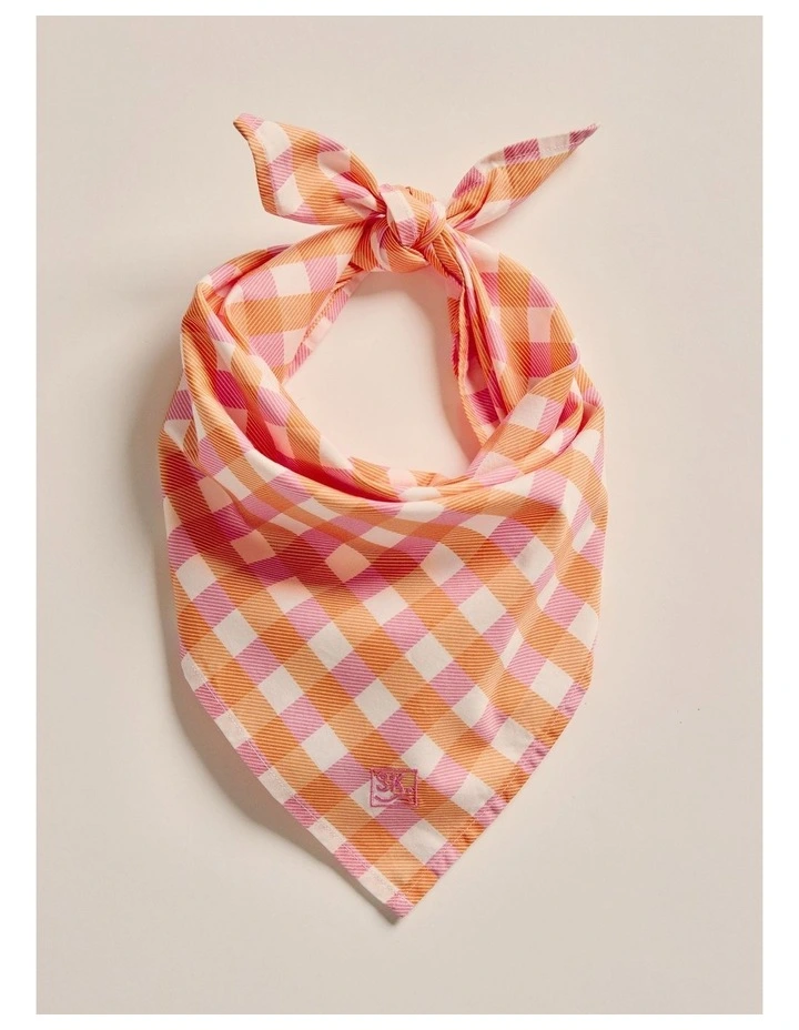 Parachilna Bandana in Pale Pink image 1