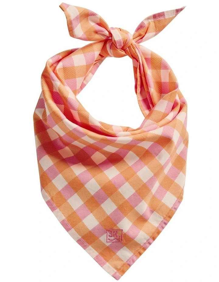 Parachilna Bandana in Pale Pink image 1