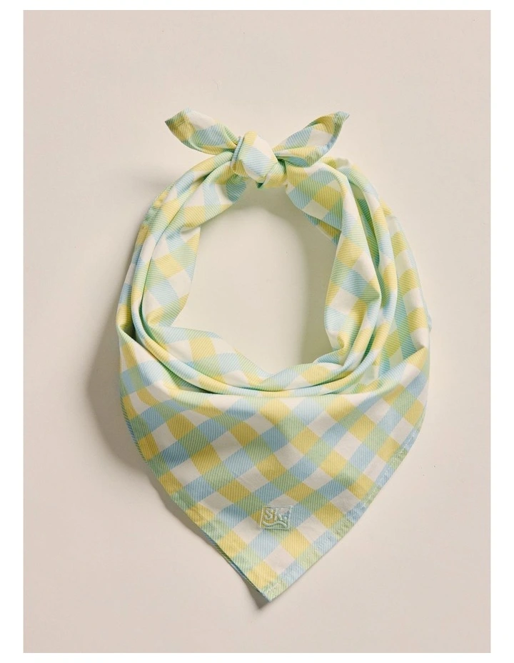 Parachilna Bandana in Sky Blue image 1