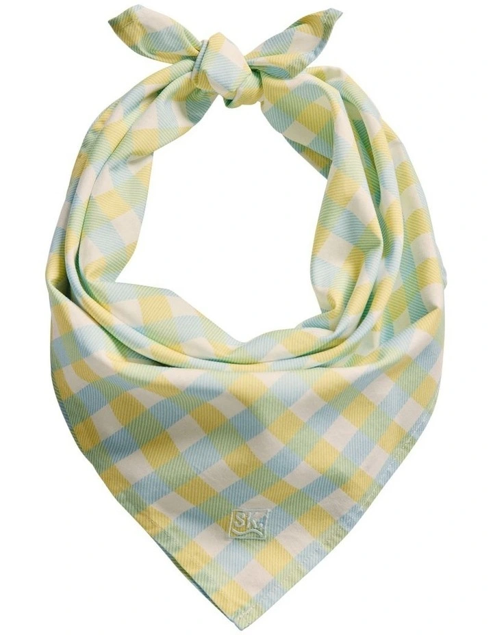 Parachilna Bandana in Sky Blue image 1