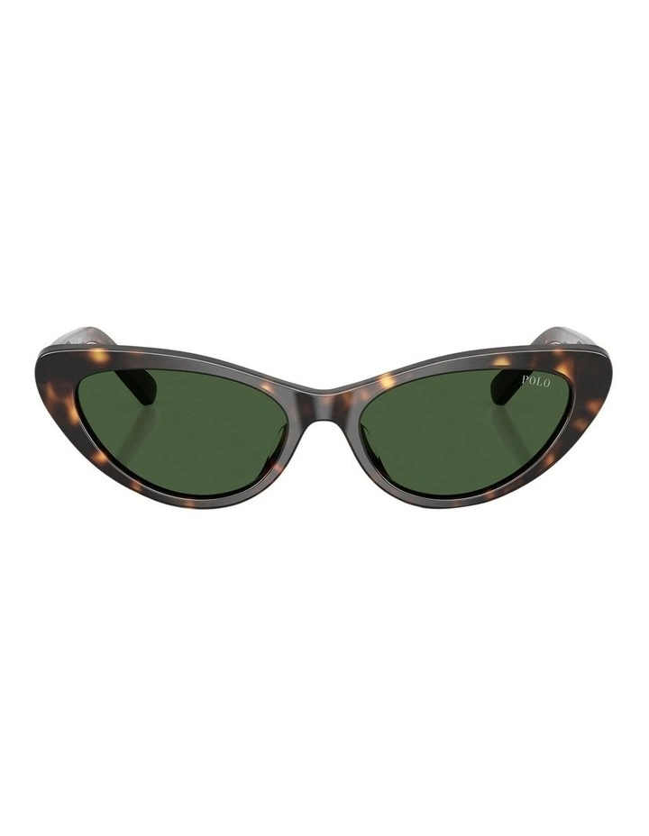 Cat-Eye Sunglasses in Brown image 2