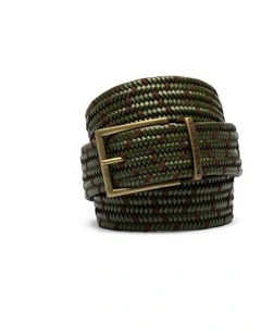 Stratford Stretch Belt in Olive