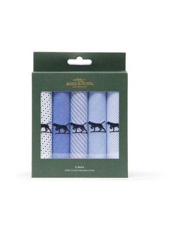 Light Blue Multi colour