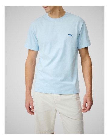 Ice Blue colour