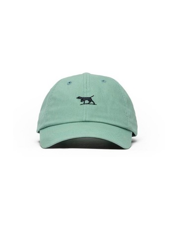 Burnt Sage Navy colour