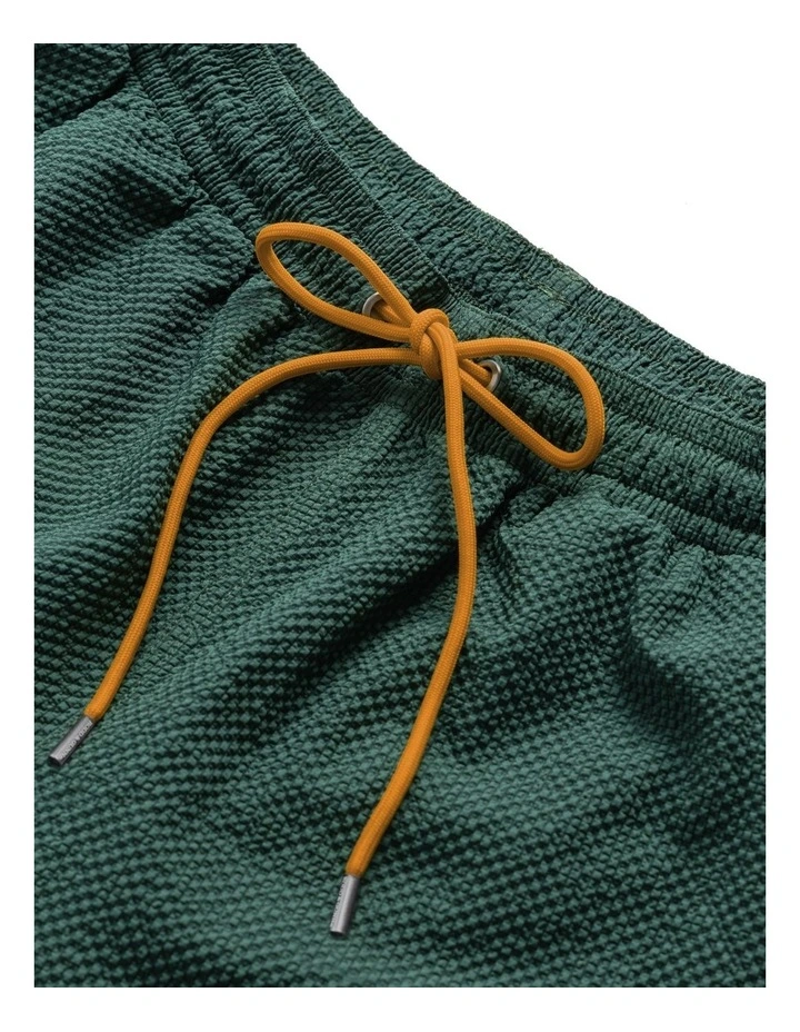 Winterton River Swim Short  in Teal image 5