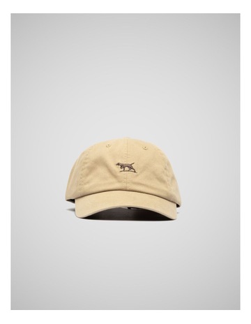 Mocha colour