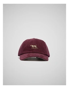 Signature Cap in Pinot