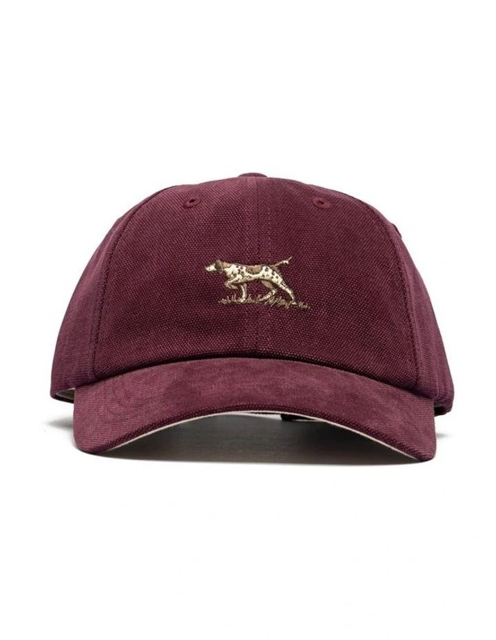 Gunn Cap Dark Khaki in Pinot image 1