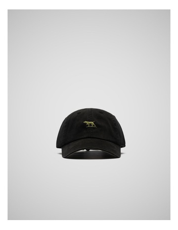 Black Olive colour