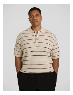 Elton Knit Stripe Polo Shirt in Ecru