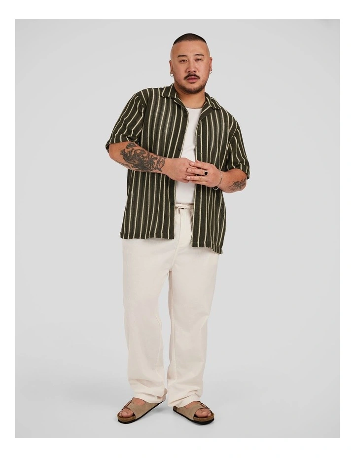 Jungle Stripe Relaxed Shirt in Dark Green image 4