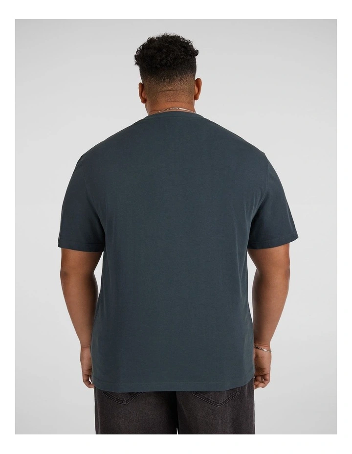 Classic Heavyweight Tee in Peacock image 2