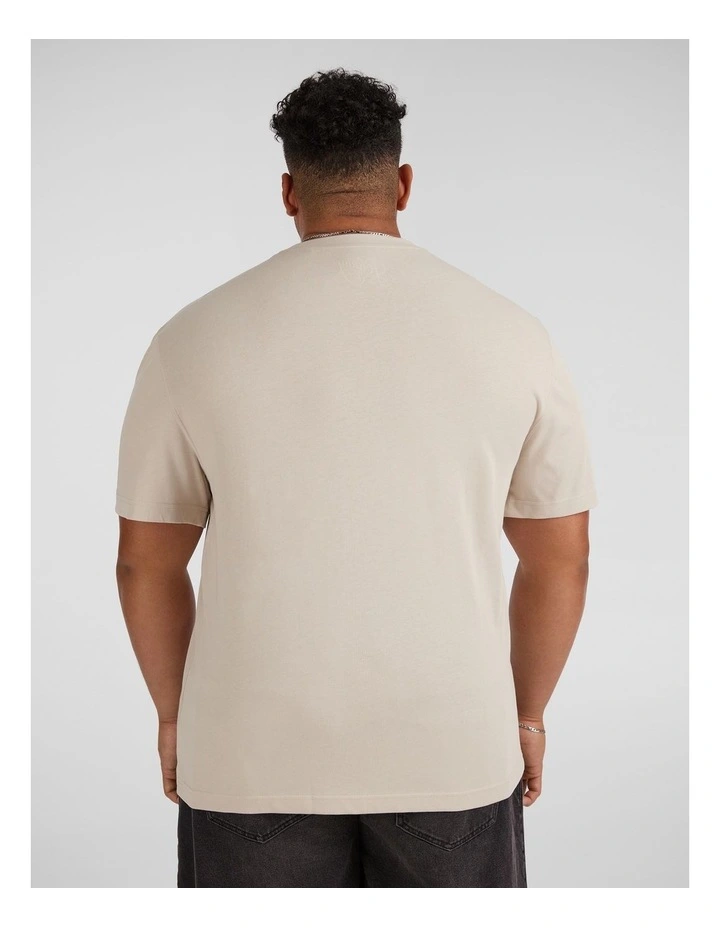 Classic Heavyweight Tee in Putty image 2