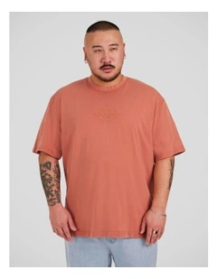 Acid Wash Embroided Relaxed Tee in Burnt Orange