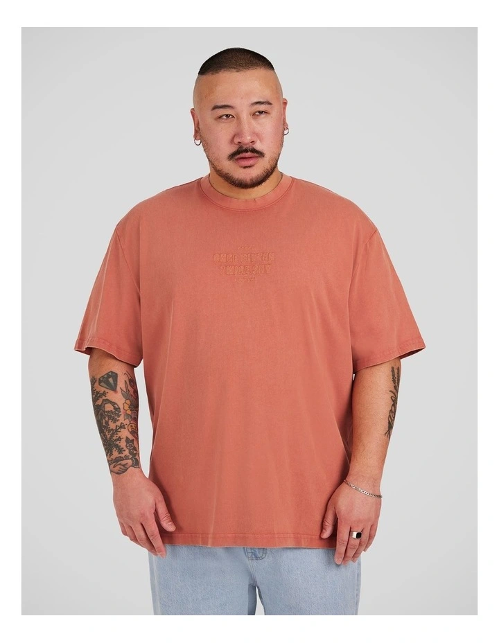 Acid Wash Embroided Relaxed Tee in Burnt Orange image 1