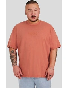 Acid Wash Embroided Relaxed Tee in Burnt Orange