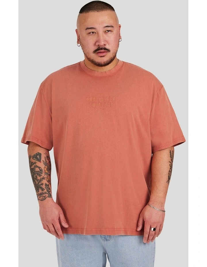 Acid Wash Embroided Relaxed Tee in Burnt Orange image 1