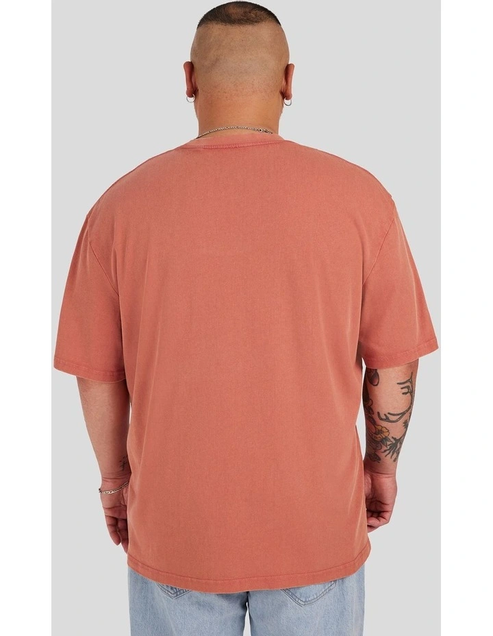 Acid Wash Embroided Relaxed Tee in Burnt Orange image 2
