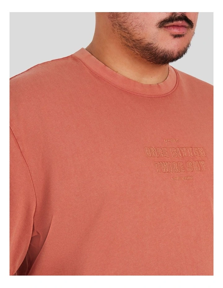 Acid Wash Embroided Relaxed Tee in Burnt Orange image 3