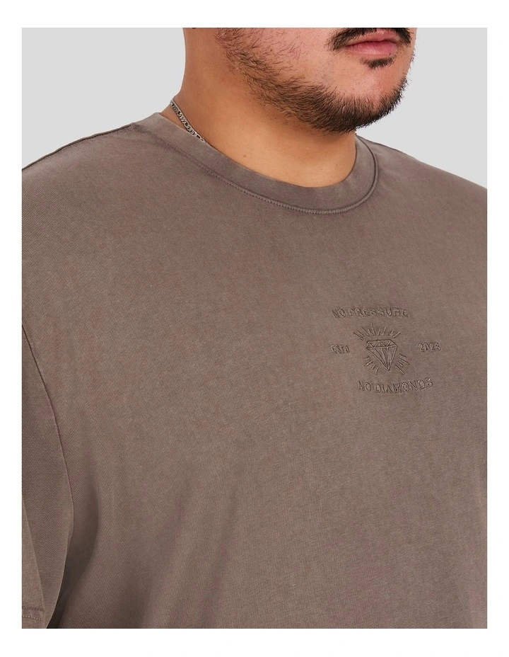 Acid Wash Embroided Relaxed tee in Latte image 3