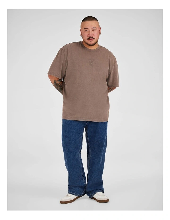 Acid Wash Embroided Relaxed Tee in Latte image 4