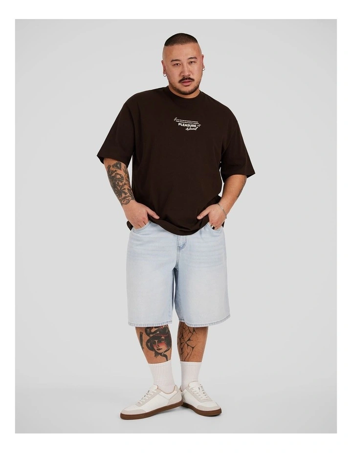 Pleasure Island Relaxed Tee in Chocolate image 4