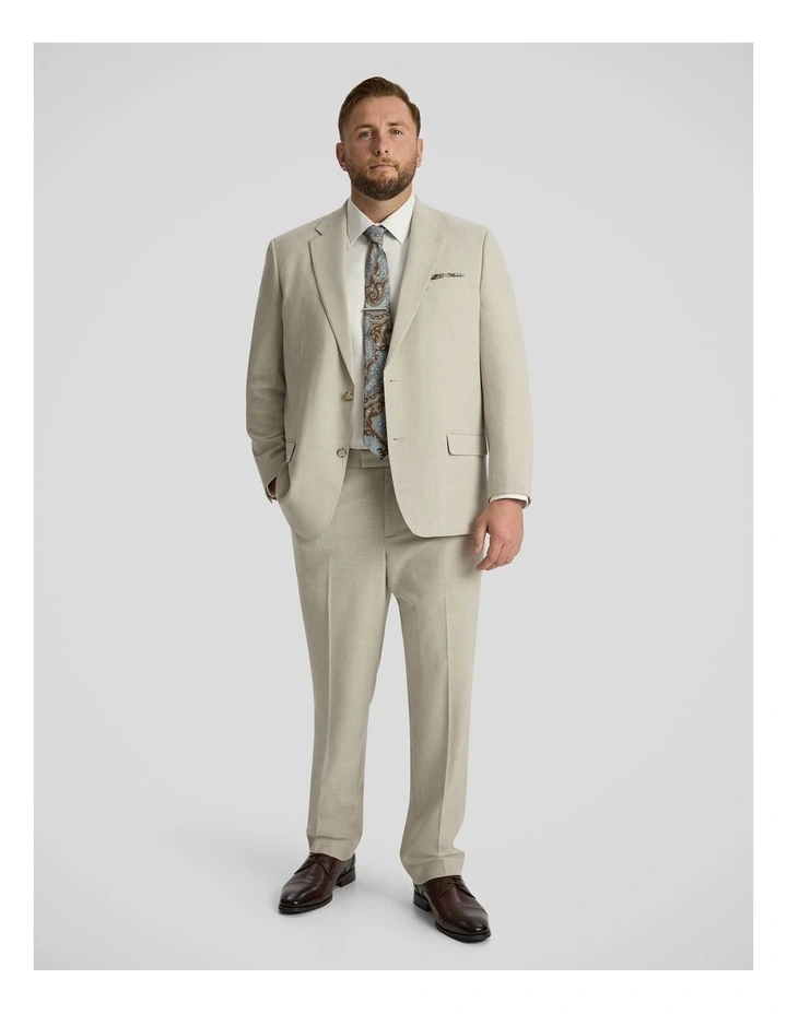 Enzo Textured Suit Pant in Stone image 4