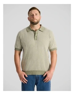 Travis Stripe Knit Polo in Sage