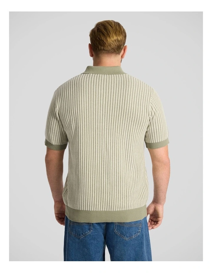 Travis Stripe Knit Polo in Sage image 2