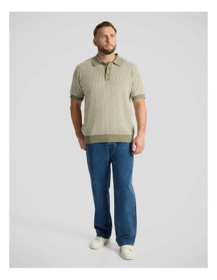Travis Stripe Knit Polo in Sage image 4