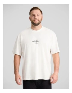 Palais Relaxed Fit Tee in Ivory