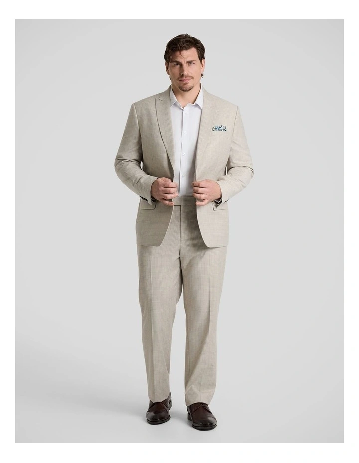 Baker Check Dress Pant in Stone image 4