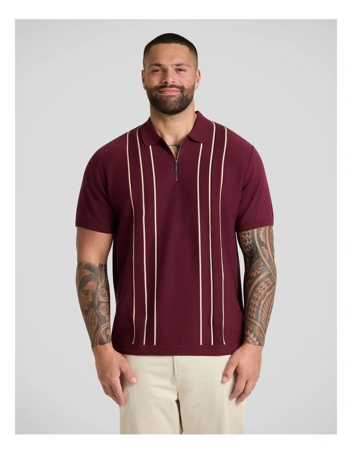 Chandler Stripe Knit Polo in Burgundy image 1