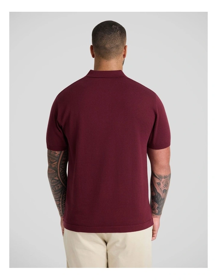 Chandler Stripe Knit Polo in Burgundy image 2