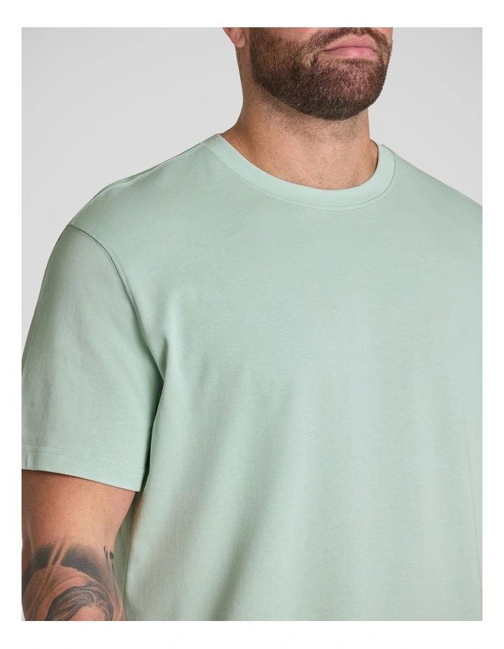 Classic Heavy Weight Tee in Aquamarine image 3