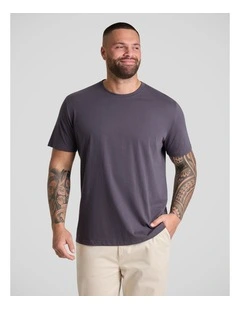 Essential Crew Neck Tee in Concrete