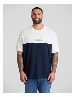 Block Panel Relaxed Fit Tee in Navy