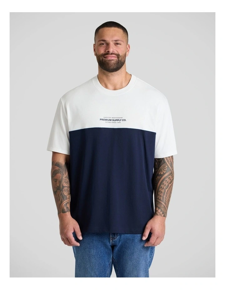 Block Panel Relaxed Fit Tee in Navy image 1