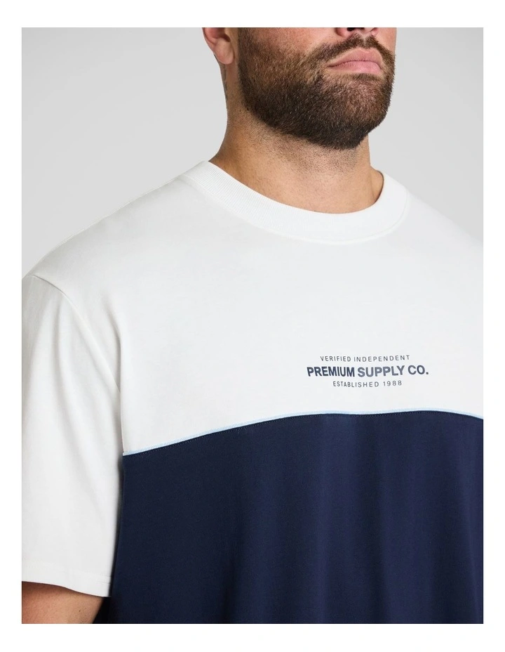 Block Panel Relaxed Fit Tee in Navy image 3