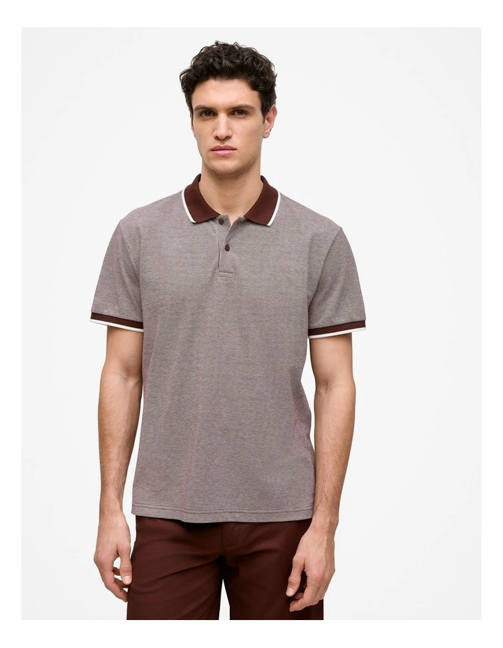 Cotton Birdseye Tipped Polo in Espresso image 1