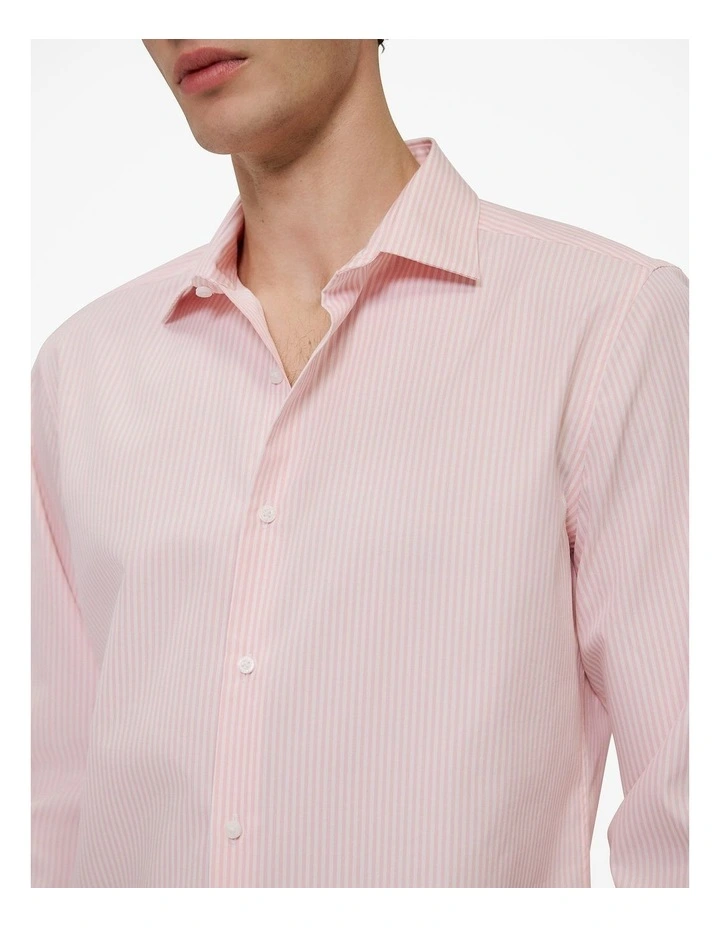 Cotton Poplin Stripe Tailored Fit Shirt in Blossom Pink image 3