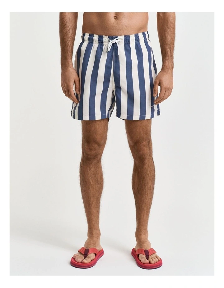 Block Stripe Swim Shorts in Dusty Navy image 1