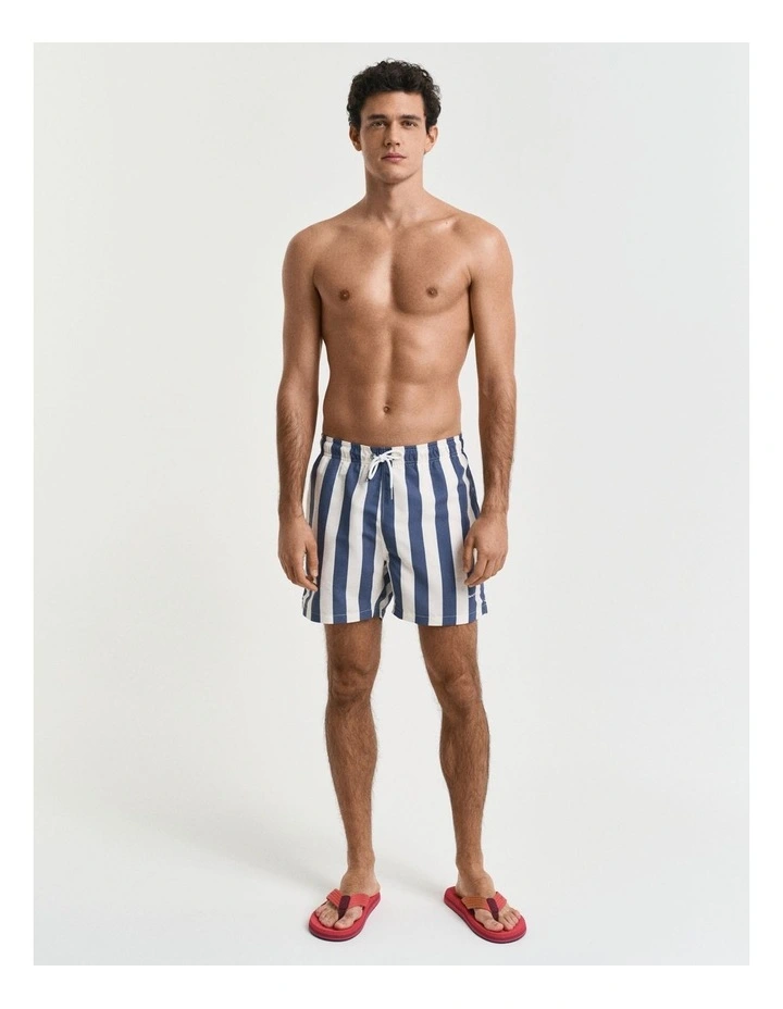 Block Stripe Swim Shorts in Dusty Navy image 3