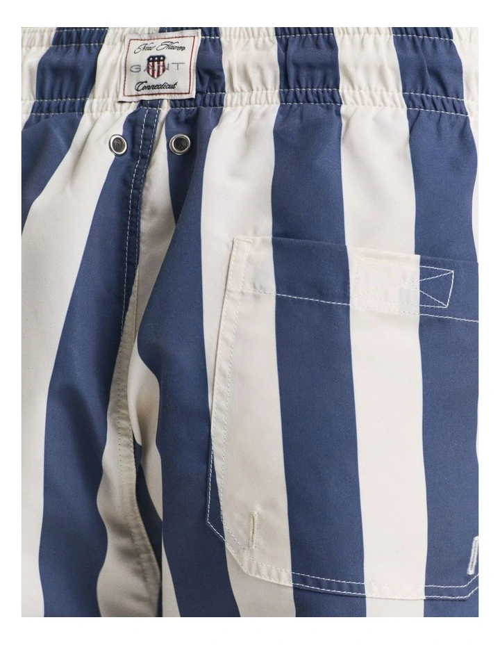 Block Stripe Swim Shorts in Dusty Navy image 4