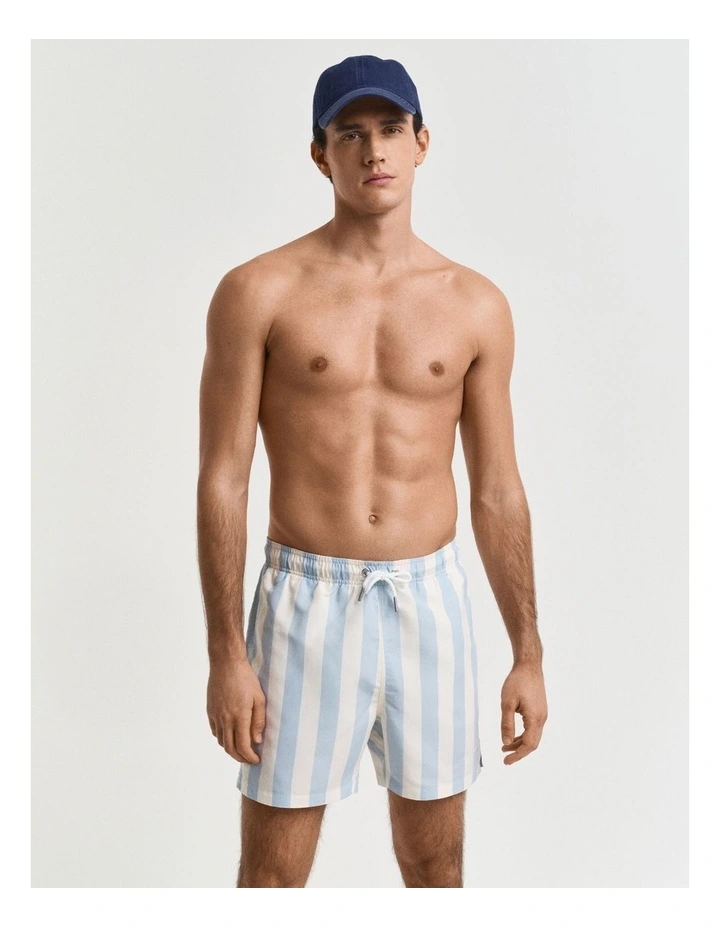 Block Stripe Swim Shorts in Fresh Blue image 1