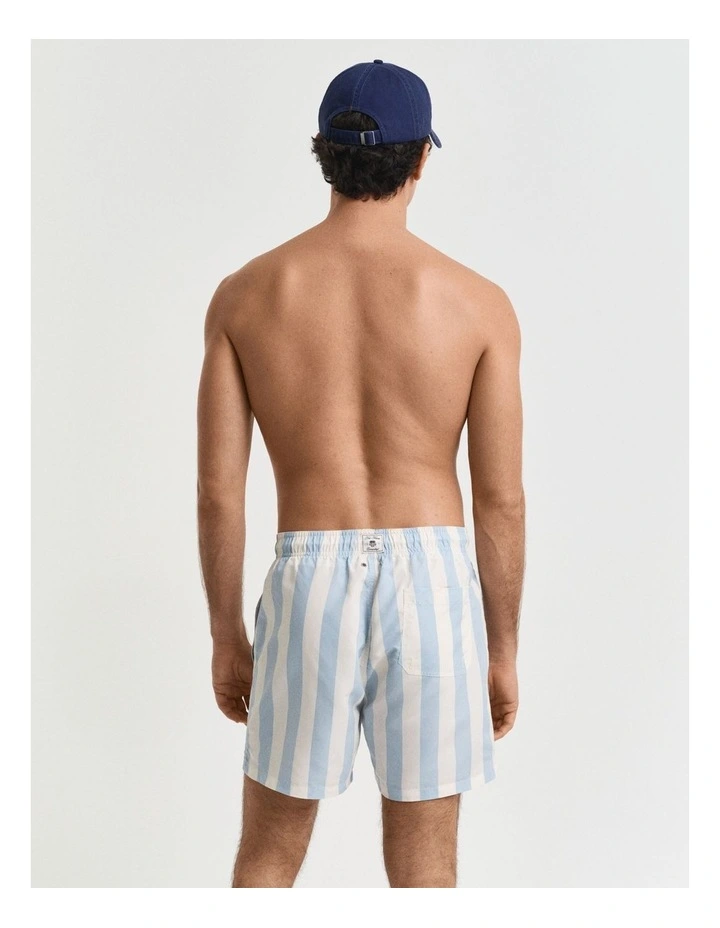 Block Stripe Swim Shorts in Fresh Blue image 2