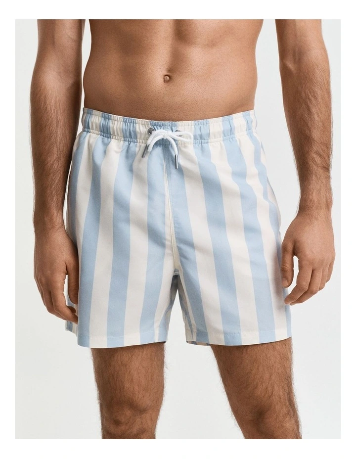 Block Stripe Swim Shorts in Fresh Blue image 3